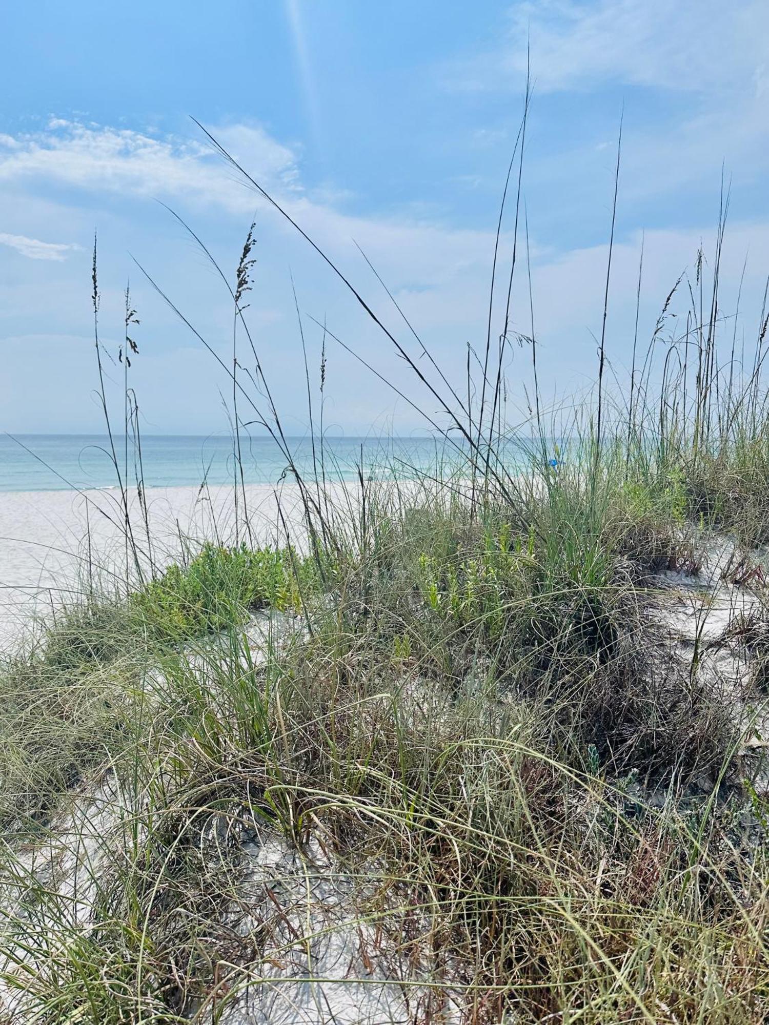 Sea Salt Vacation Home, Private Pool - Walk To Beach Panama City Beach Dış mekan fotoğraf